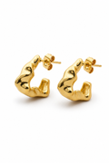 Aretes Brisa
