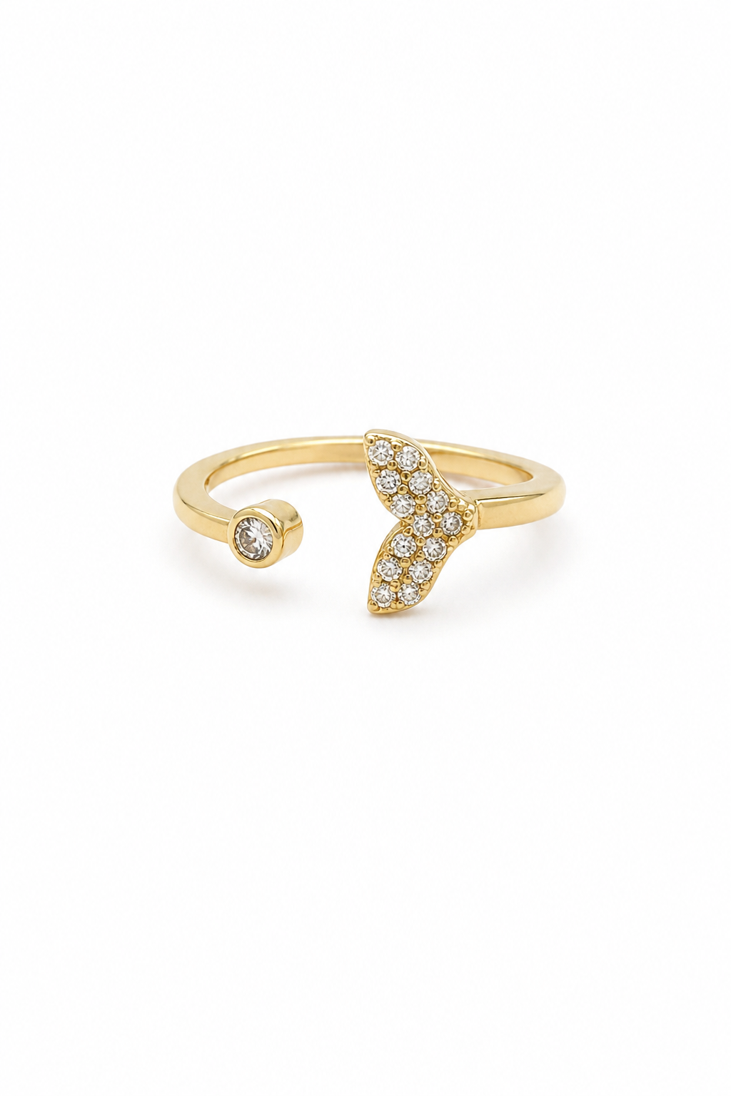 Anillo Ballena